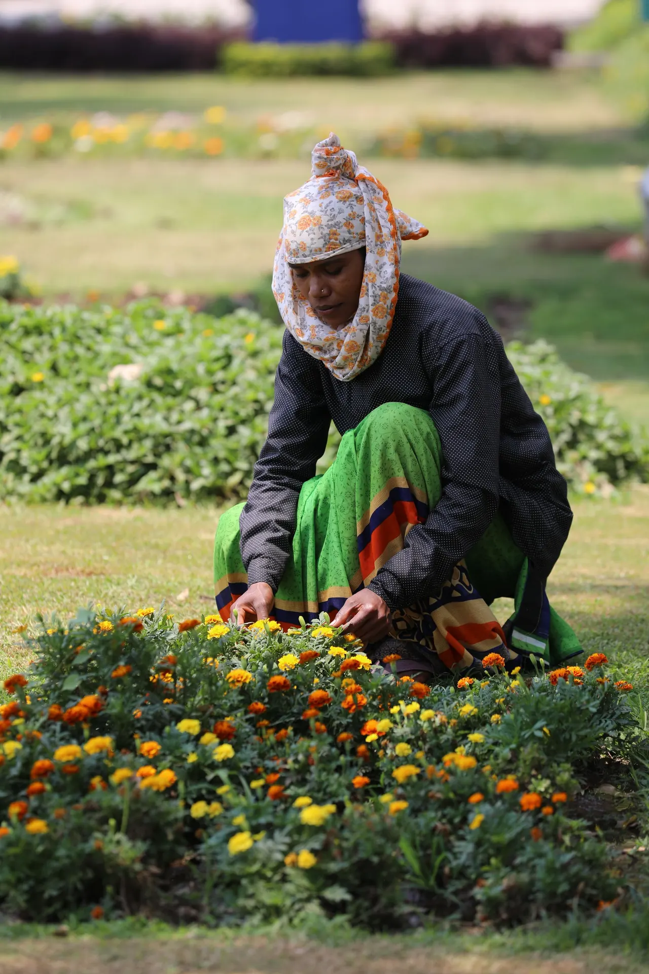 Garden tidy — at work (illustrative photo)